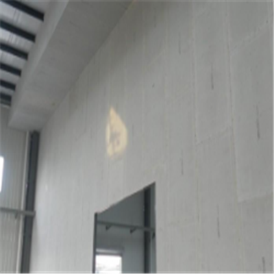 铜川宁波ALC板|EPS加气板隔墙与混凝土整浇联接的实验研讨
